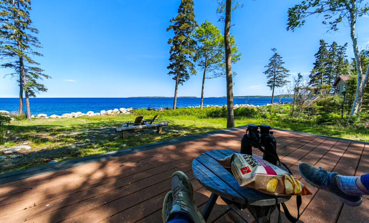 Summer in Nova Scotia – 2025